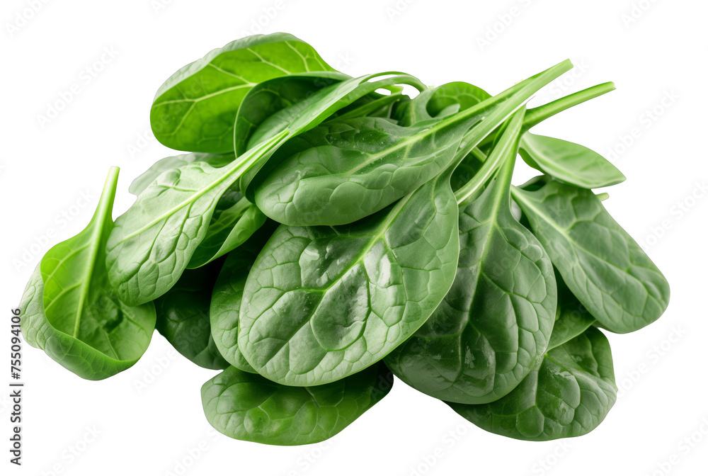 A bunch of fresh spinach leaves are piled on top of each other A bunch of fresh spinach leaves are piled on top of each other