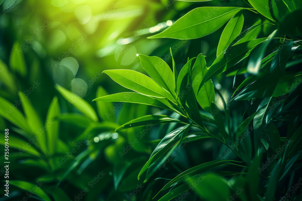 Vibrant Green Foliage Basking in Sunlight Vibrant Green Foliage Basking in Sunlight