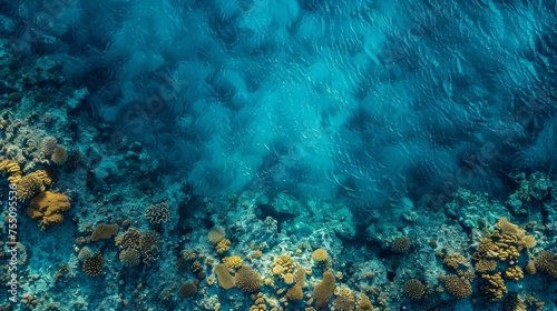 The intricate patterns of a coral reef visible from above