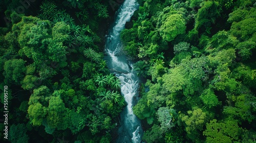 The peaceful flow of a mountain stream as seen from above