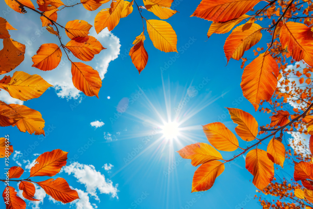Vivid orange and yellow leaves stand out under the bright blue autumn sky, capturing the essence of fall Vivid orange and yellow leaves stand out under the bright blue autumn sky, capturing the essence of fall