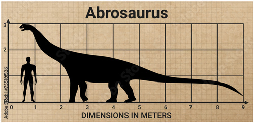 Comparing the size of Abrosaurus to the average adult human male (1.8 meters)