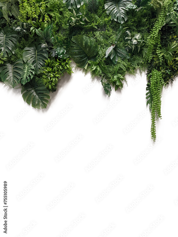 Lush Green Tropical Plant Arrangement on a Clean White Background Lush Green Tropical Plant Arrangement on a Clean White Background