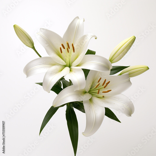 Lily, white background, professional photo сreated with Generative Ai © Andrii Yablonskyi