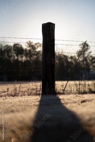 Fence post at a farm