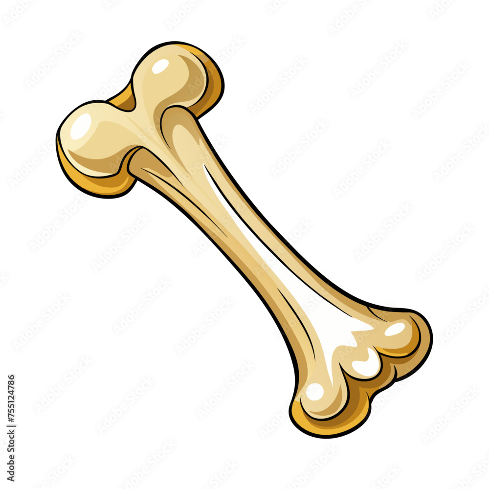 Dog Bone on white background Dog Bone on white background