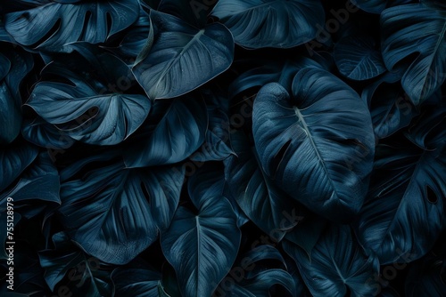 Dark and mysterious tropical leaf textures Presenting an abstract and dramatic backdrop for bold and creative visual projects