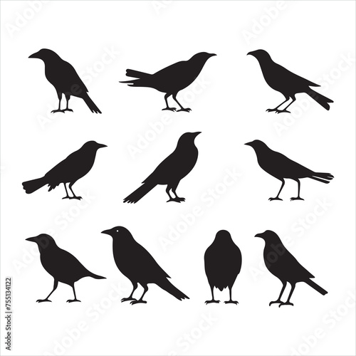 A black silhouette crow bird set
