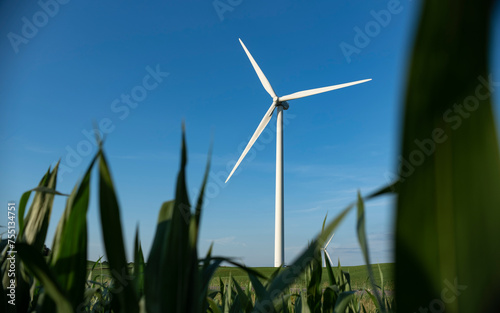 wind turbines farm corn
