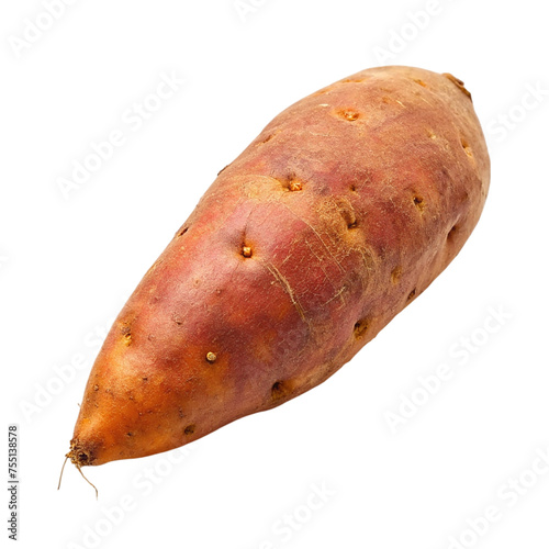 Sweet potato isolated on a transparent background. Ripe sweet potato.