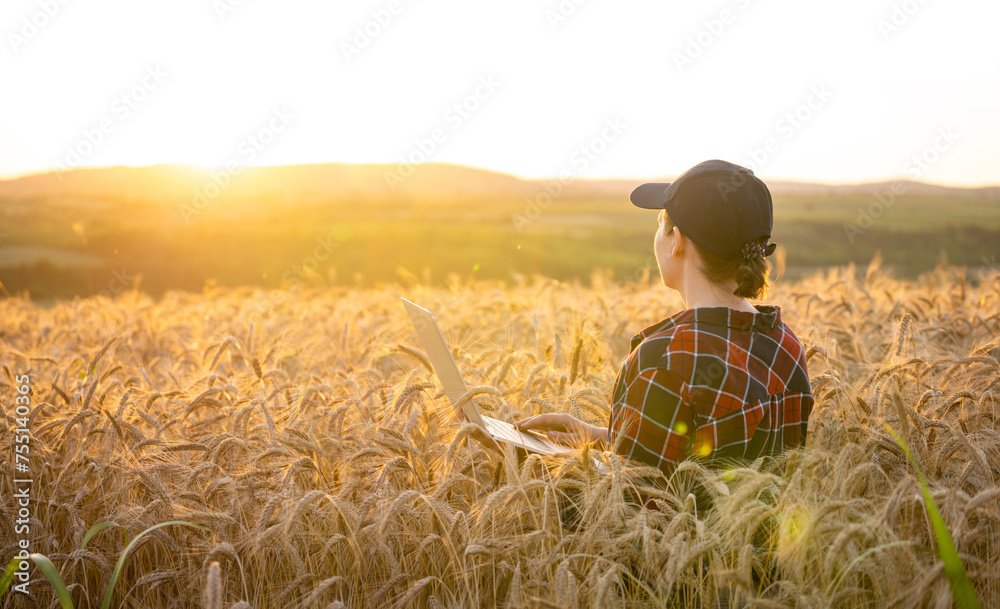 Fototapeta premium Woman farmer working with laptop on wheat field. Smart farming and digital agriculture