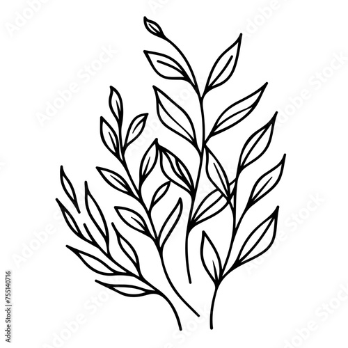 Leafy plant line drawing © N