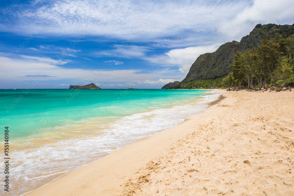 Beautiful Hawaiian white sand beaches on a a sunny day