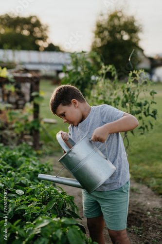Boy watering raised garden bed, holding metal watering can. Caring for vegetable garden and growing, planting spring vegetables.