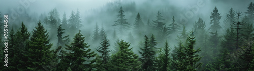 The Pacific Northwest: A Symphony of Mist and Evergreens