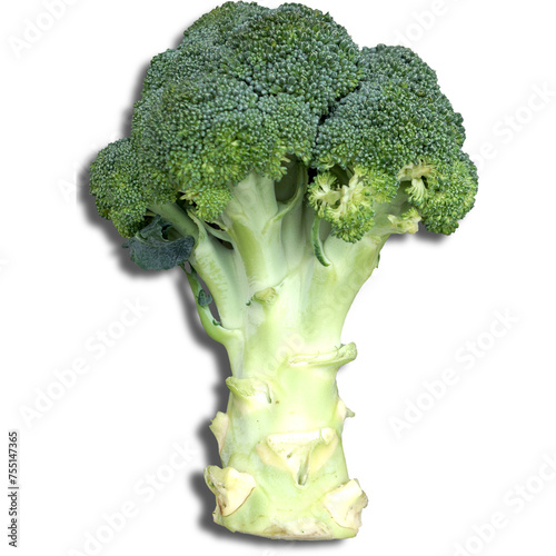 An unique concept of broccoli isolated on plain background , very suitable to use in mostly vegetables project.