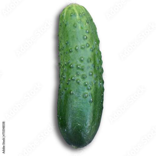 An unique concept of cucumber isolated on plain background , very suitable to use in mostly vegetables project.