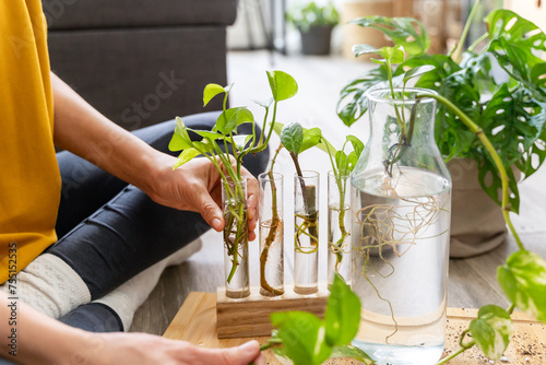 Foto Hands of an unrecognizable person putting plant cuttings in water