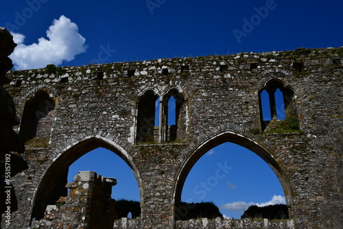 Ruins of Dunbrody Abbey, Dunbrody, Campile, Co Wexford, Ireland photo
