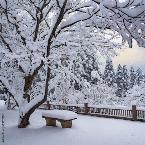 하얀 함박눈이 공원에 내린 후,
온통 하얀색 눈으로 뒤덮힌 겨울 풍경 photo