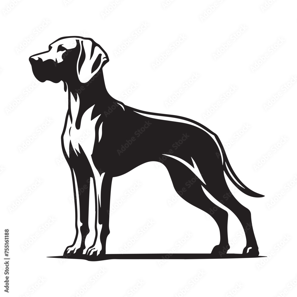 Vizsla dog silhouette, Vizsla Breed silhouette, Vizsla Black and White Illustration