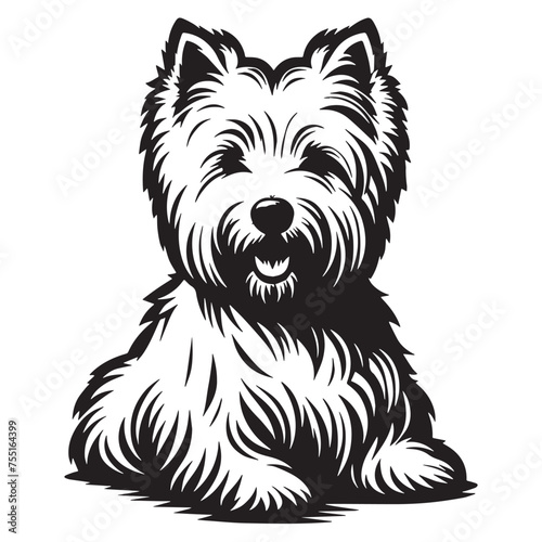 West Highland Terrier silhouette, White Terrier silhouette,  Terrier Breed- Black and White Illustration