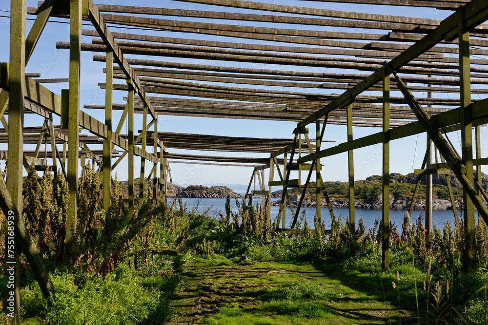 Fototapeta premium fish dryign rack