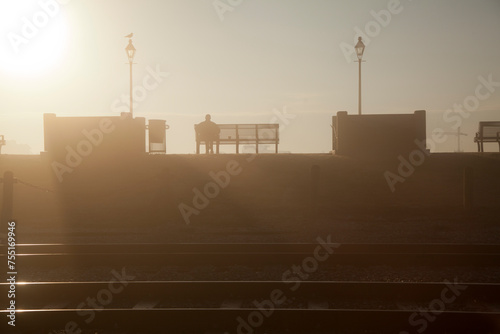 Εκτύπωση καμβά Sitting on a Bench at Dawn