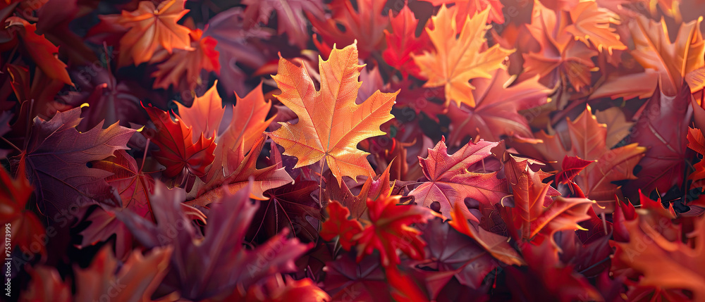 A close-up view of autumn leaves in vibrant shades, evoking a feeling of warmth and abundance A close-up view of autumn leaves in vibrant shades, evoking a feeling of warmth and abundance