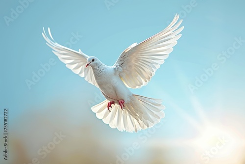 Flying white dove on blue sky background. Freedom, peace and love concept