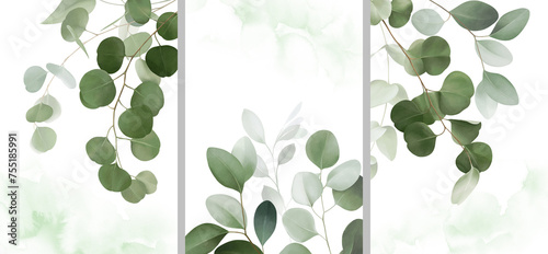 Watercolor floral set with branches, eucalyptus, olive, tropical green leaves, spots. Green card for wedding invitation. Frames of green leaves. Botanical elements for floral leaf background design.