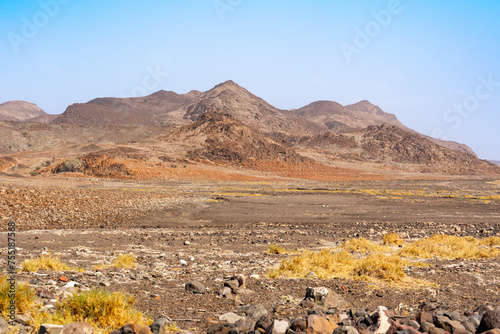 Djibouti, landcape around the lake Abbe in the Afar Depression photo