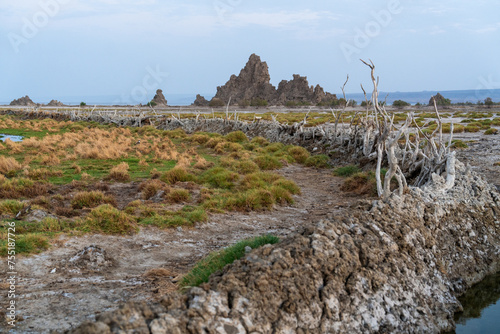 Djibouti, vieuw at the lake Abbe with its rock formations photo