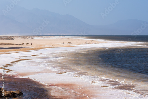 Djibouti, the colourful salt lake Assal part of the Afar Depression.. 