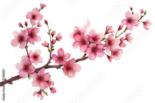 Wallpaper Mural Branch of pink flowers with white background Torontodigital.ca