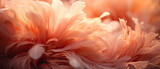 Close-up of rich coral feathers with intricate details and a dramatic play of light and shadow