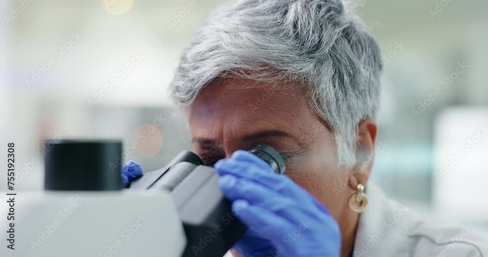 Woman, microscope and senior scientist with analysis of data, science experiment or medical research in laboratory. Assessment, test or review sample with biotechnology, innovation and future Woman, microscope and senior scientist with analysis of data, science experiment or medical research in laboratory. Assessment, test or review sample with biotechnology, innovation and future