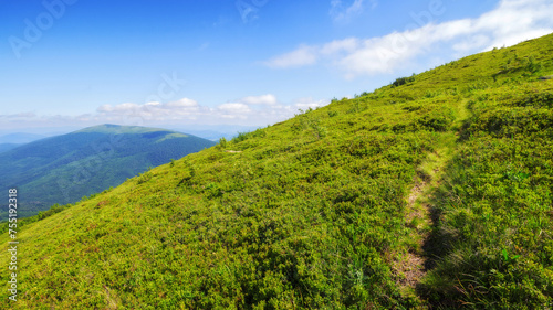 path trough hillside of carpathian mountains. landscape with green alpine meadow. beautiful nature scenery of ukraine in summer