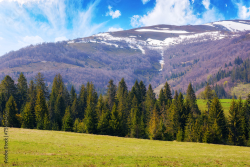 carpathian countryside with forested hills. stunning scenery of podoboves village outskirts and borzhava ridge of ukraine in early spring. snow capped mountain top beneath a sky with clouds