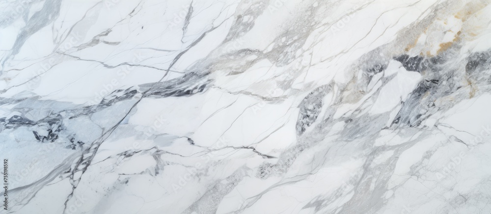 This close-up view showcases the intricate patterns and veining of a luxurious white marble texture. The surface is smooth and polished,