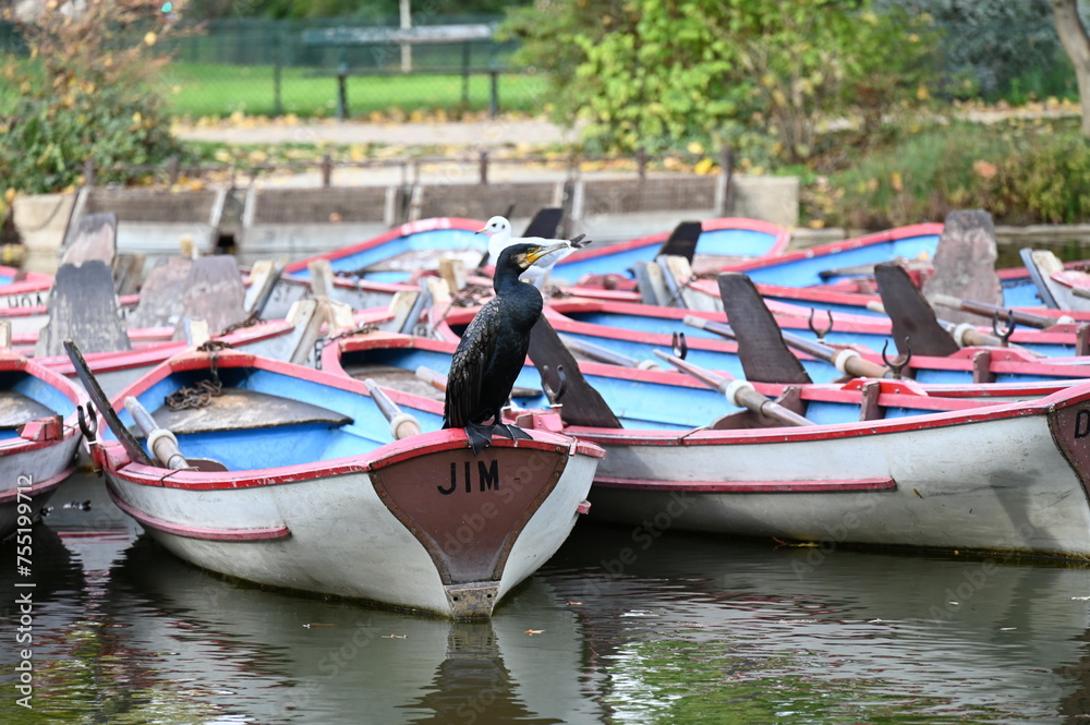 Obraz premium Barques sur un lac