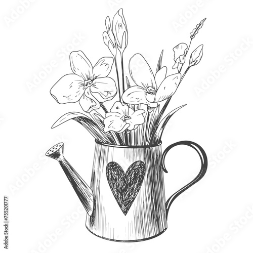 Hand drawn watering can with flowers isolated on white background. Sketch style spring vector illustration. Mother's day illustration for postcard. Bouquet in garden watering can