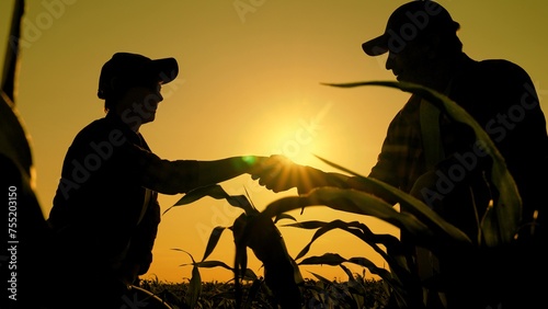 Handshake of business partners in farmers field, silhouette. Owner farm enters into contract handshake. Farmers in working with, shaking hands. Agricultural business. Teamwork in agribusiness. Sun sky