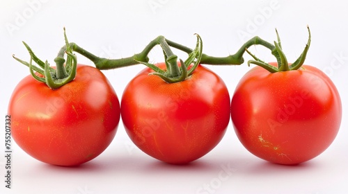 a group of tomatoes on a vine © moonpro