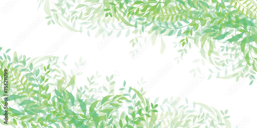 Obraz premium 新緑 葉 風景 背景