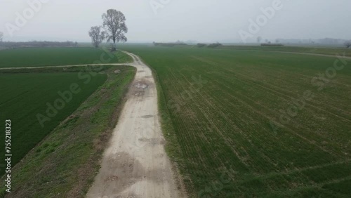 Countryside and small road in Lobbi, Alessandria, Piedmont, Italy photo