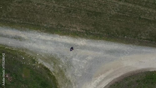 I from above in the countryside and small road Lobbi, Alessandria, Piedmont, Italy. photo