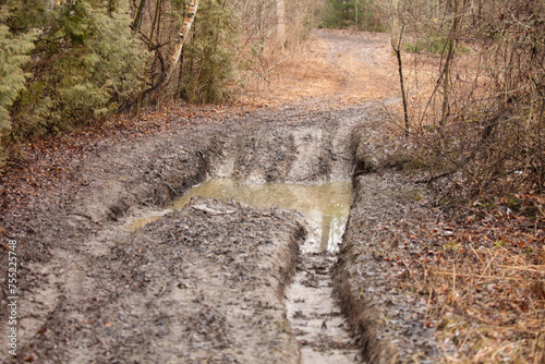 Horizontal view of atv/utv tracks through a watery muddy forest trail