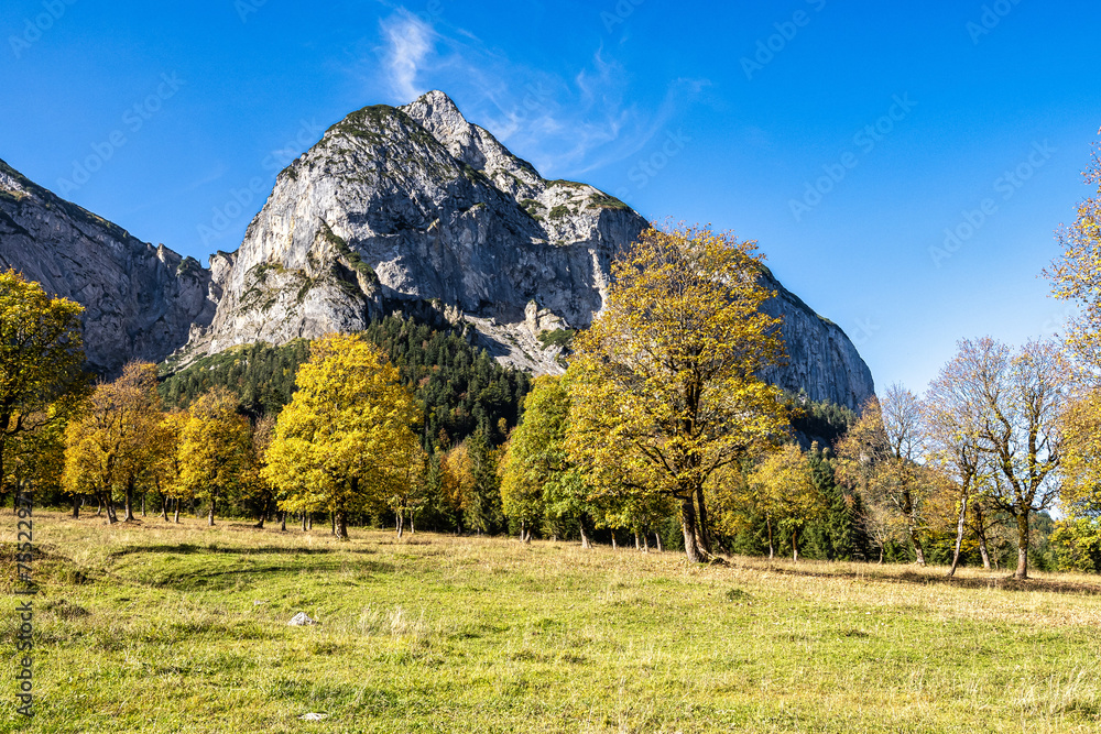 maple trees at Ahornboden, Karwendel mountains, Tyrol, Austria