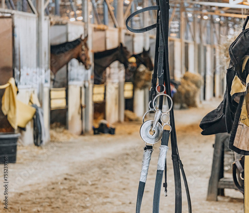 A training bridle with a ring bit hangs in the aisle of a barn at a Thoroughbred racetrack with horse in the stalls and their heads out. 